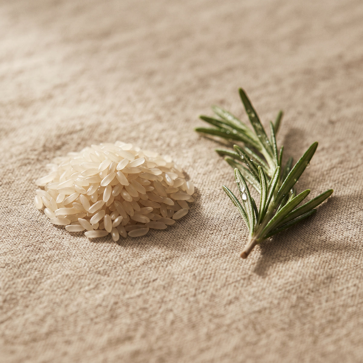 Standardised Rosemary & Rice Water